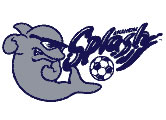 Anaheim Splash logo, 19994