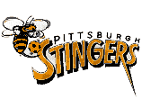 Pittsburgh Stingers (1994-95)